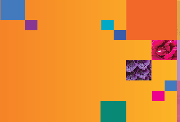 Introductions to anthroposophic medicine